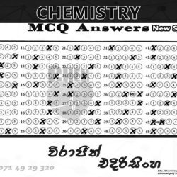 Ap lang 2020 mcq answers