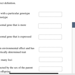 Term definition match its each