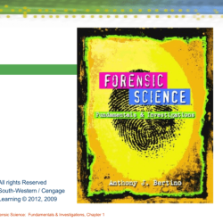 Forensic science: fundamentals and investigations