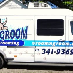 Groomers pet